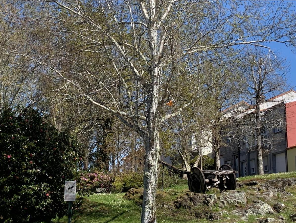Apartamento Falda do Pedroso - Campo de Estrellas Santiago de Compostela Exterior foto